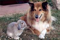 Dolgemost R&uuml;gen A.Petri Herrenhaus m. Ferienwohnungen
