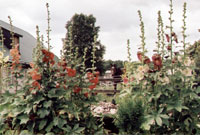 Dolgemost R&uuml;gen A.Petri Herrenhaus m. Ferienwohnungen